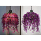 Chandelier shown in product gallery view 12.