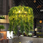Chandelier shown in product gallery view 14.