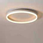 Flush Mount Ceiling Light shown in product gallery view 4.