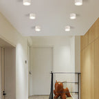 Flush Mount Ceiling Light shown in product gallery view 1.