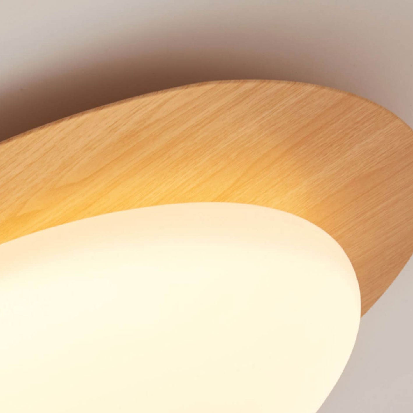 Flush Mount Ceiling Light shown in product gallery view 10.