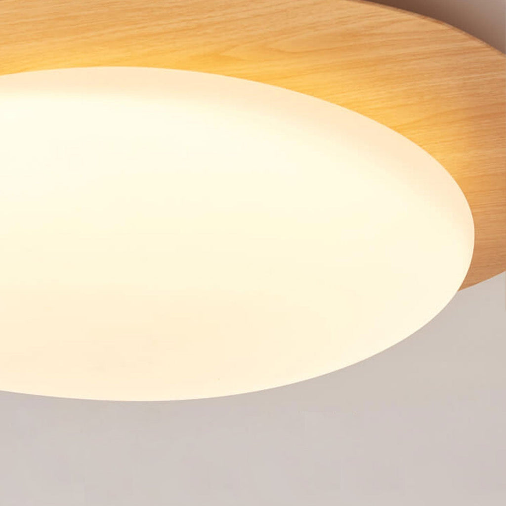 Flush Mount Ceiling Light shown in product gallery view 11.