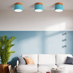 Flush Mount Ceiling Light shown in product gallery view 3.