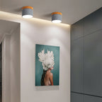 Flush Mount Ceiling Light shown in product gallery view 4.