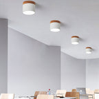 Flush Mount Ceiling Light shown in product gallery view 5.
