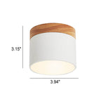 Flush Mount Ceiling Light shown in product gallery view 13.