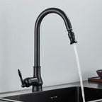 Kitchen Faucet | Pull Out Spray Head, Solid Brass, Antique Bronze Or Black