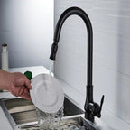 Kitchen Faucet | Pull Out Spray Head, Solid Brass, Antique Bronze Or Black