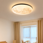Ceiling Light | Moon Inspired Integrated LED, Acrylic And Metal, Light Wood, gallery view 2.