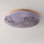 Flush Mount Ceiling Light shown in product gallery view 16.