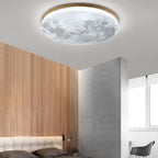 Flush Mount Ceiling Light shown in product gallery view 23.