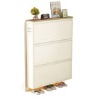 Shoe Storage Cabinet shown in product gallery view 33.
