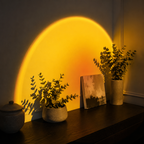 Warm yellow sunset halo illuminating eucalyptus on a dark console