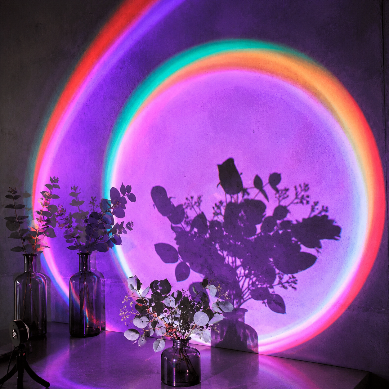 Layered rainbow sunset halo casting botanical shadows on a concrete wall