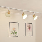 Track Lighting shown in product gallery view 22.