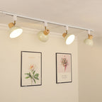 Track Lighting shown in product gallery view 24.