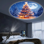 USB Christmas projector light product view 4